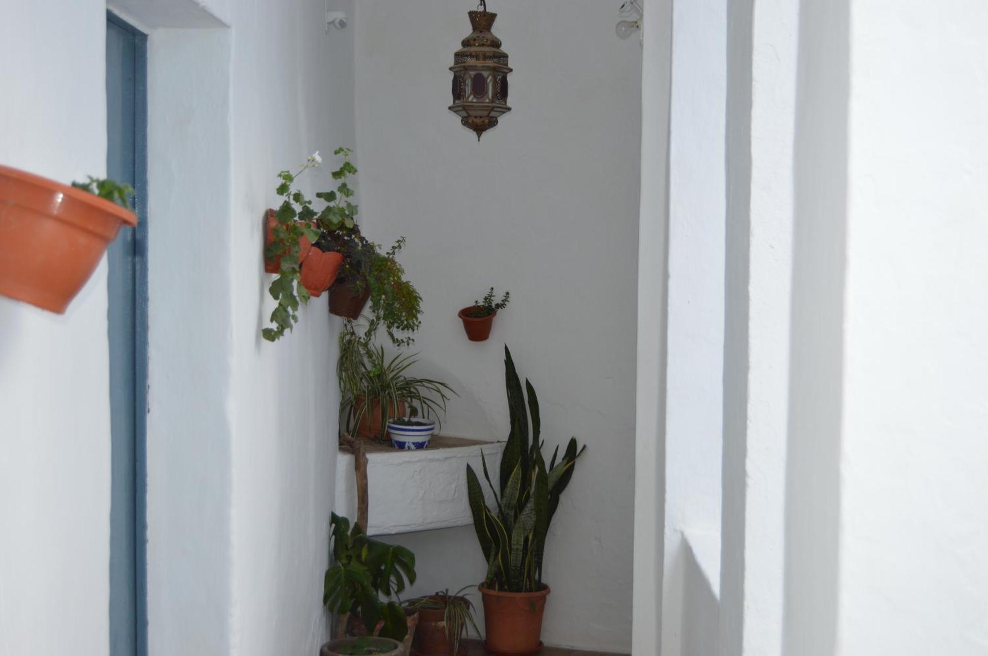Nuestra Casa En Vejer Daire Vejer de la Frontera Dış mekan fotoğraf